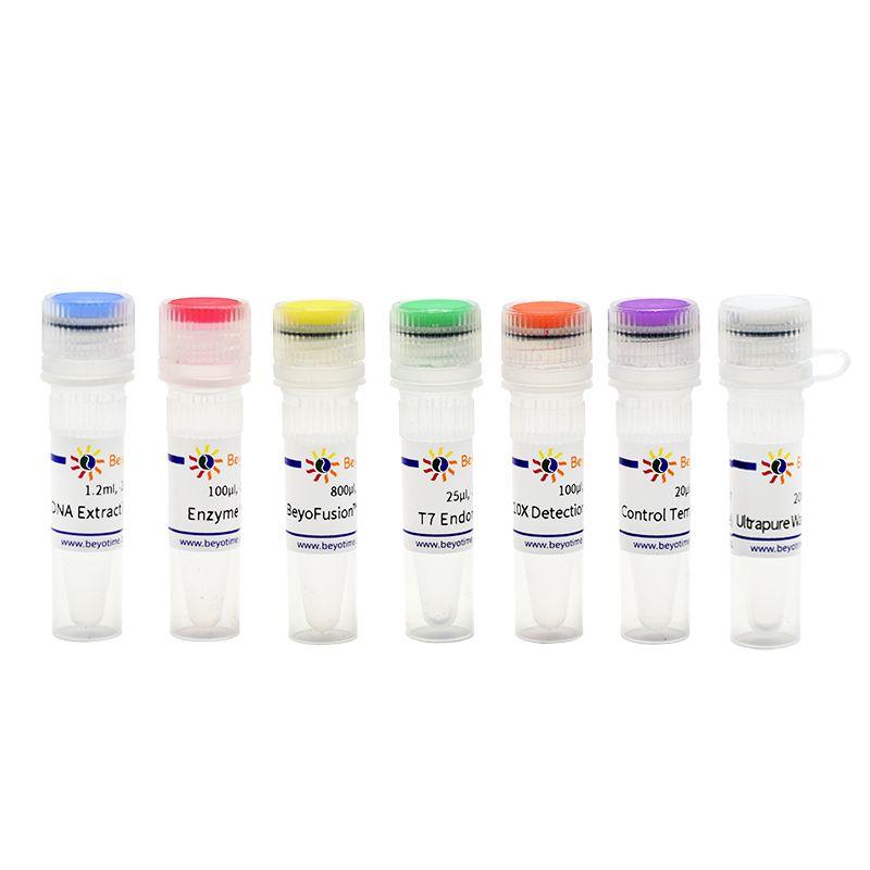 T7E1 enzyme cleaves heteroduplex DNA only.