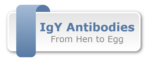 IgY Antibodies